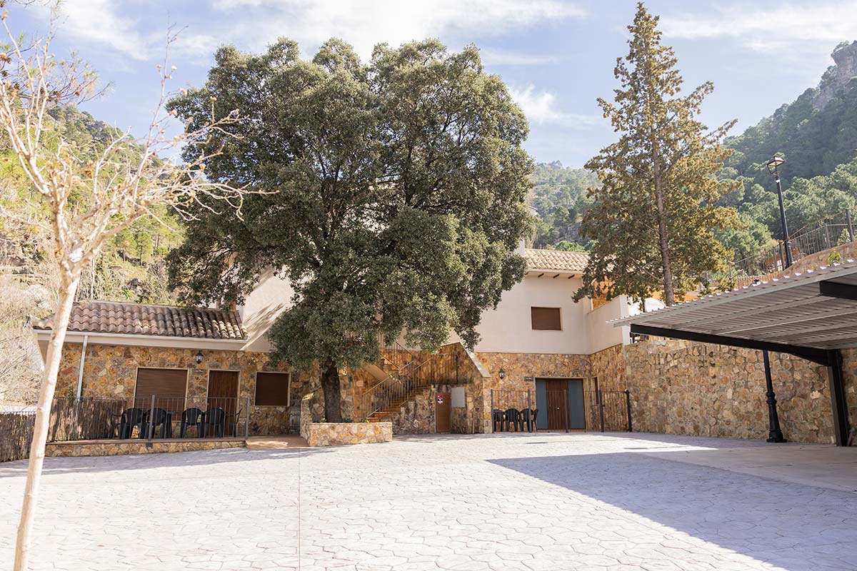 Suite Encina - Apartamentos 7 Puentes Sierra de Cazorla